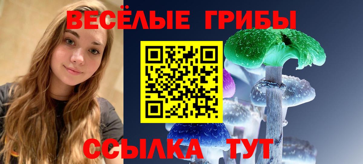 Псилоцибиновые грибы Magic Shrooms  Галлюциногенные грибы ЛСД  Дмитров  Вход с VPN 
